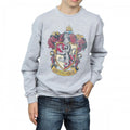 Front - Harry Potter Boys Gryffindor Sweatshirt