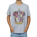 Front - Harry Potter Boys Gryffindor T-Shirt
