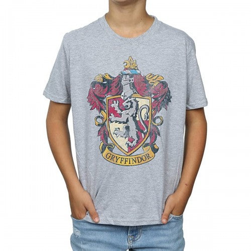 Front - Harry Potter Boys Gryffindor T-Shirt