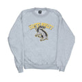 Front - Harry Potter Mens Hufflepuff Sweatshirt