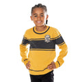 Front - Harry Potter Childrens/Kids Varsity Hufflepuff Sweater