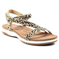 Front - Lunar Womens/Ladies Dendron Leopard Print Sandals