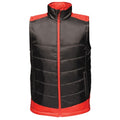 Front - Regatta Mens Uproar Softshell Jacket