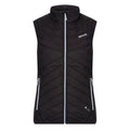 Front - Regatta Womens/Ladies Halton V Softshell Body Warmer