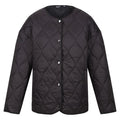 Front - Regatta Womens/Ladies Harletta Baffled Padded Jacket