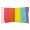 Front - Furn Rainbow Throw Pillow Cover