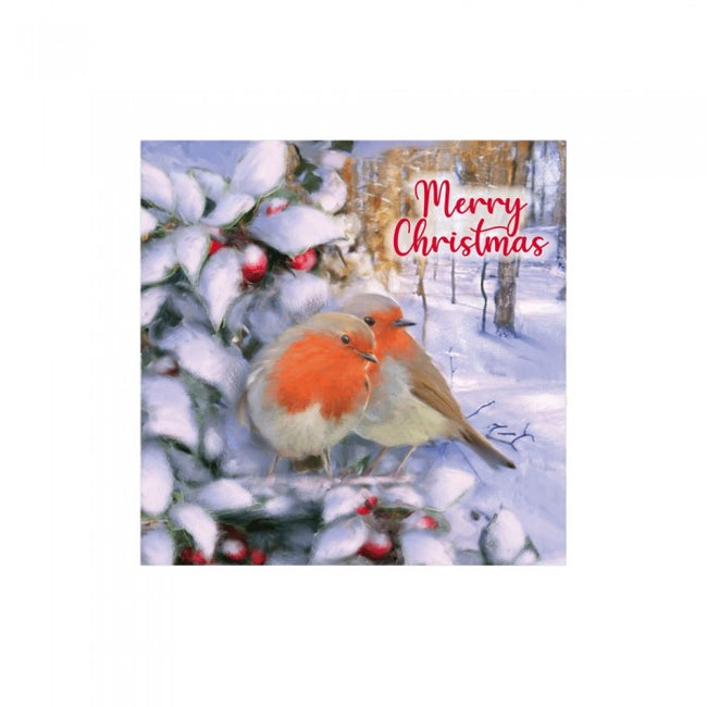 Front - Eurowrap Robin Christmas Card (Pack of 24)