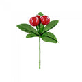 Front - Premier Berry Pick