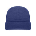 Royal - Side - Absolute Apparel Knitted Turn Up Ski Hat
