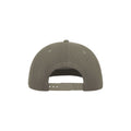 Gray - Back - Atlantis Flat Visor 5 Panel Cap