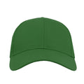 Green - Back - Atlantis Zoom Sports 6 Panel Baseball Cap