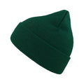 Pine Green - Front - Atlantis Eko Soft Beanie