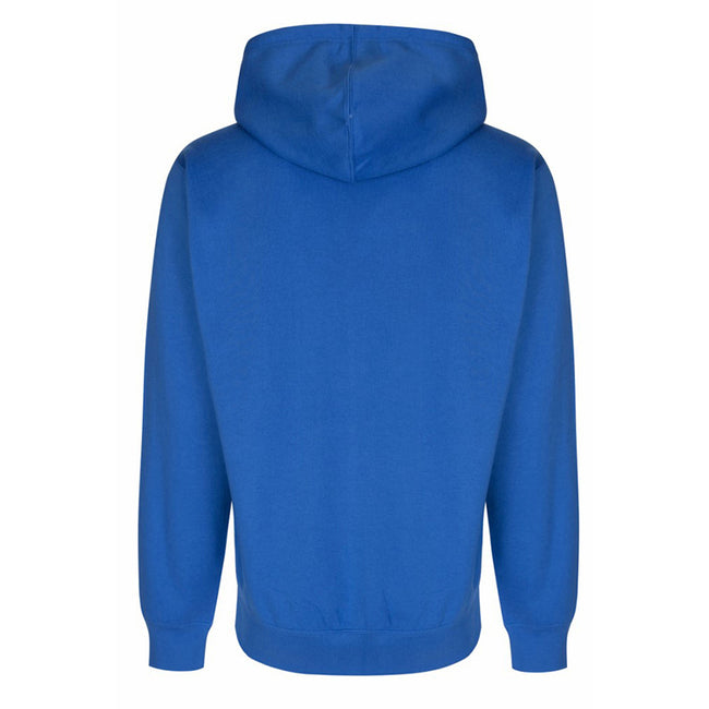 Royal - Back - FDM Unisex Team Zip Hoodie