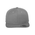 Silver - Front - Flexfit Unisex Adult Classic Snapback Cap