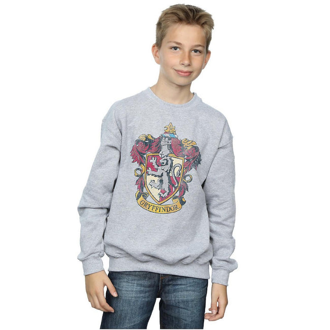 Sports Grey - Back - Harry Potter Boys Gryffindor Sweatshirt
