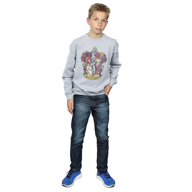 Sports Grey - Side - Harry Potter Boys Gryffindor Sweatshirt
