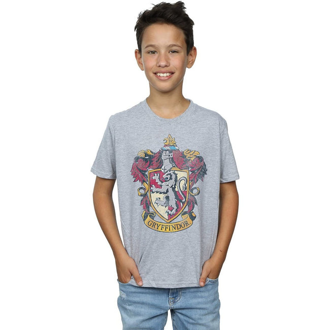 Sports Grey - Back - Harry Potter Boys Gryffindor T-Shirt
