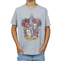 Sports Grey - Front - Harry Potter Boys Gryffindor T-Shirt