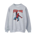 Sports Grey - Front - Spider-Man Womens-Ladies Leap Sweatshirt