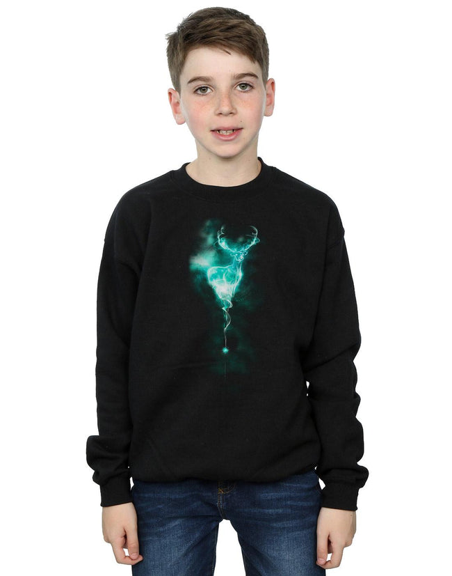 Black - Pack Shot - Harry Potter Boys Patronus Mist Stag Sweatshirt
