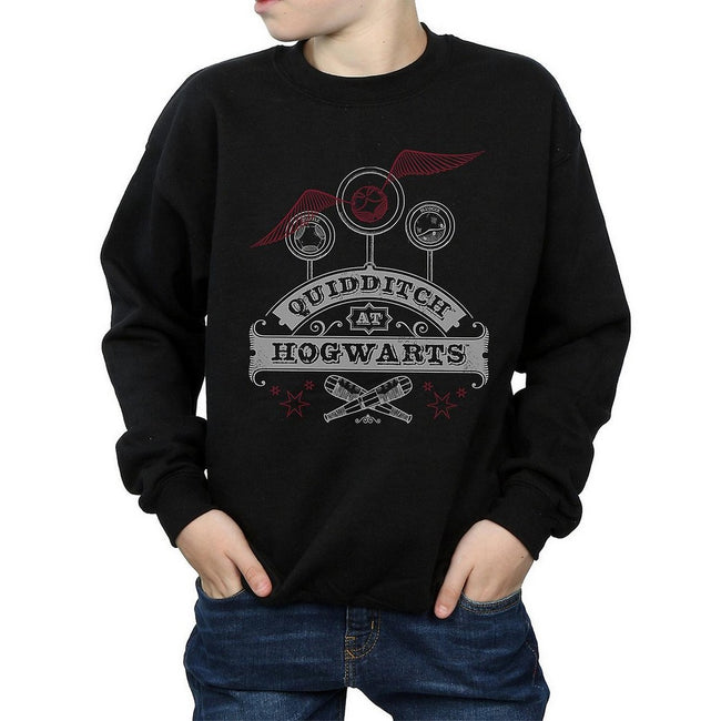 Black - Back - Harry Potter Boys Quidditch At Hogwarts Sweatshirt