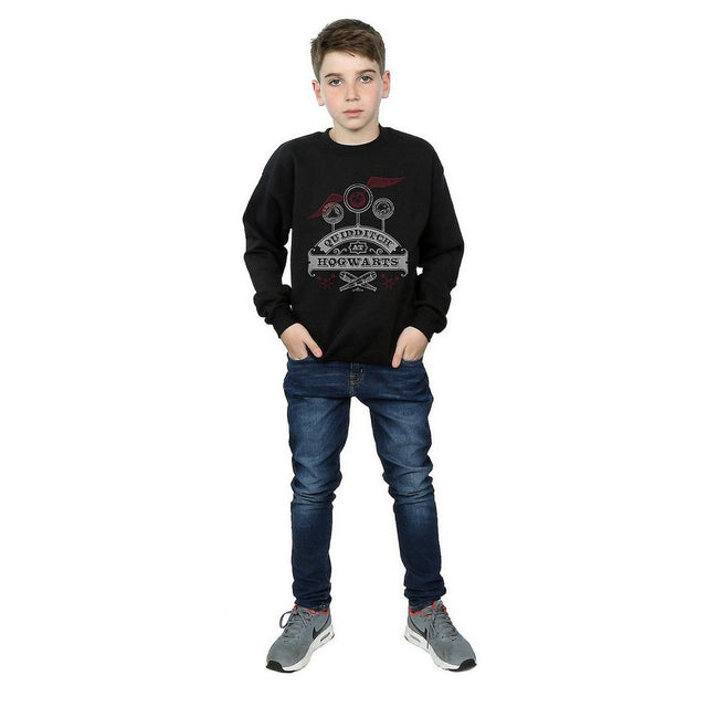 Black - Lifestyle - Harry Potter Boys Quidditch At Hogwarts Sweatshirt