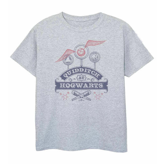 Sports Gray - Front - Harry Potter Boys Quidditch T-Shirt