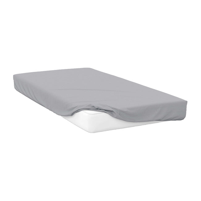Platinum - Front - Belledorm 200 Thread Count Egyptian Cotton Fitted Sheet