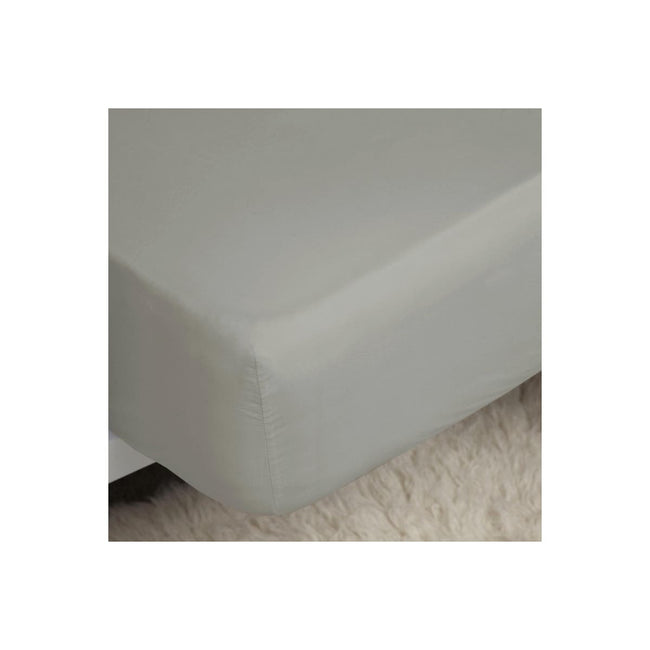 Platinum - Back - Belledorm 200 Thread Count Egyptian Cotton Fitted Sheet