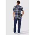 Royal Blue - Back - Maine Mens Chinos