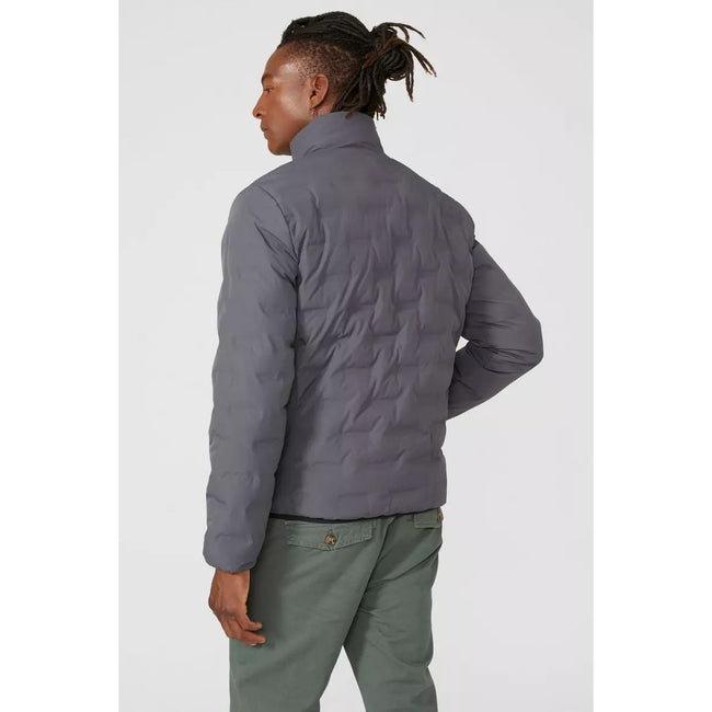 Dark Grey - Back - Mantaray Mens Hybrid Funnel Neck Padded Jacket