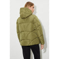 Olive - Back - Dorothy Perkins Womens-Ladies Short Padded Jacket