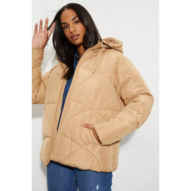 Camel - Back - Dorothy Perkins Womens-Ladies Short Padded Jacket
