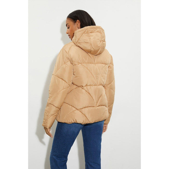 Camel - Lifestyle - Dorothy Perkins Womens-Ladies Short Padded Jacket