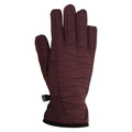 Purple - Front - Mountain Warehouse Womens-Ladies Spray Panelled Gloves