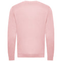 Baby Pink - Back - Awdis Mens Sweatshirt