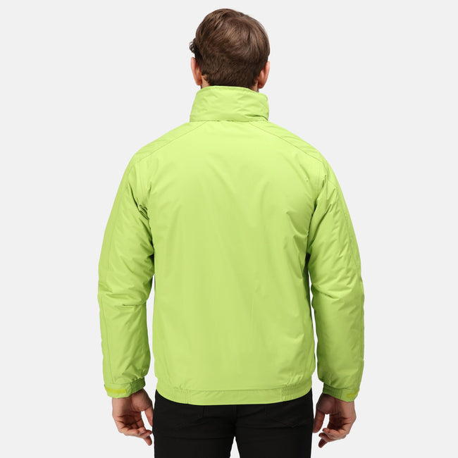 Key Lime-Seal Gray - Back - Regatta Dover Waterproof Windproof Jacket (Thermo-Guard Insulation)