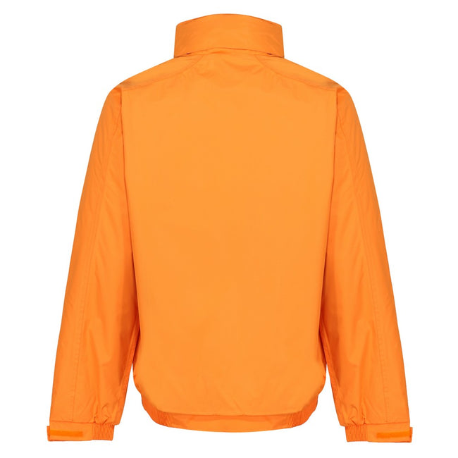 Sun Orange-Seal Gray - Back - Regatta Dover Waterproof Windproof Jacket (Thermo-Guard Insulation)