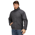 Seal Gray-Black - Back - Regatta Dover Waterproof Windproof Jacket (Thermo-Guard Insulation)