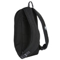 Black-Light Steel - Back - Regatta 4 Gallon Bedabase II Backpack