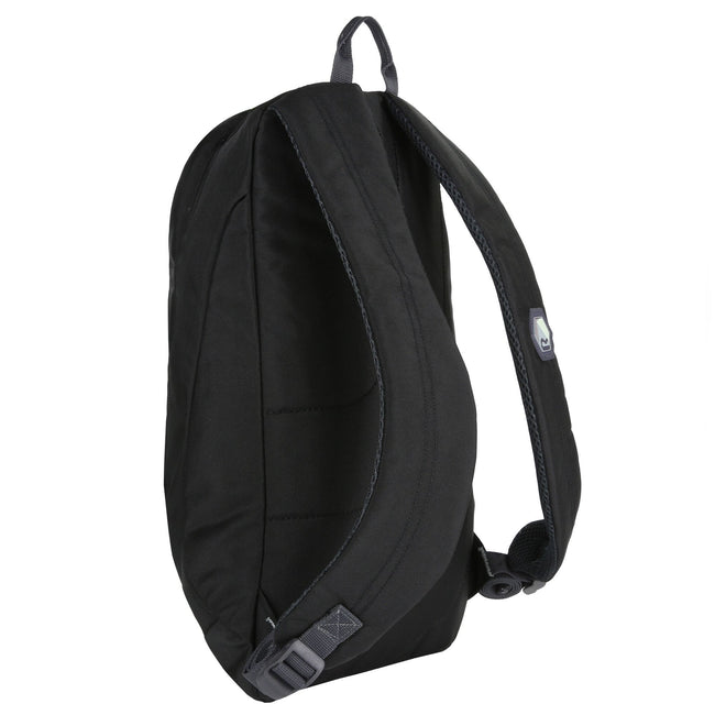 Black-Light Steel - Back - Regatta 4 Gallon Bedabase II Backpack