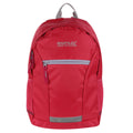 Duchess Pink-Dapple Grey - Front - Regatta Jaxon III Backpack (10 Liters)