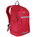Duchess Pink-Dapple Grey - Back - Regatta Jaxon III Backpack (10 Liters)