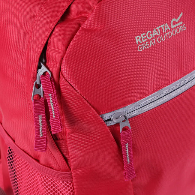 Duchess Pink-Dapple Grey - Lifestyle - Regatta Jaxon III Backpack (10 Liters)
