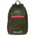 Cypress Green-Diva Pink - Front - Regatta Jaxon III Backpack (10 Liters)