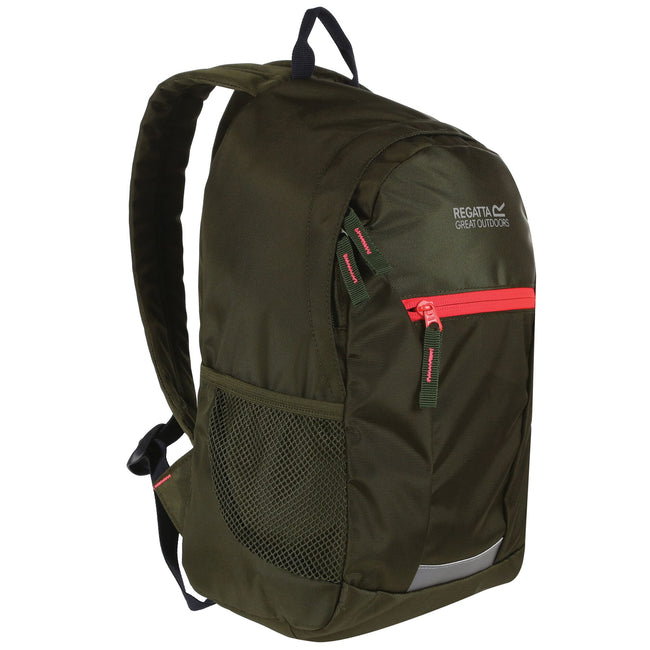Cypress Green-Diva Pink - Side - Regatta Jaxon III Backpack (10 Liters)