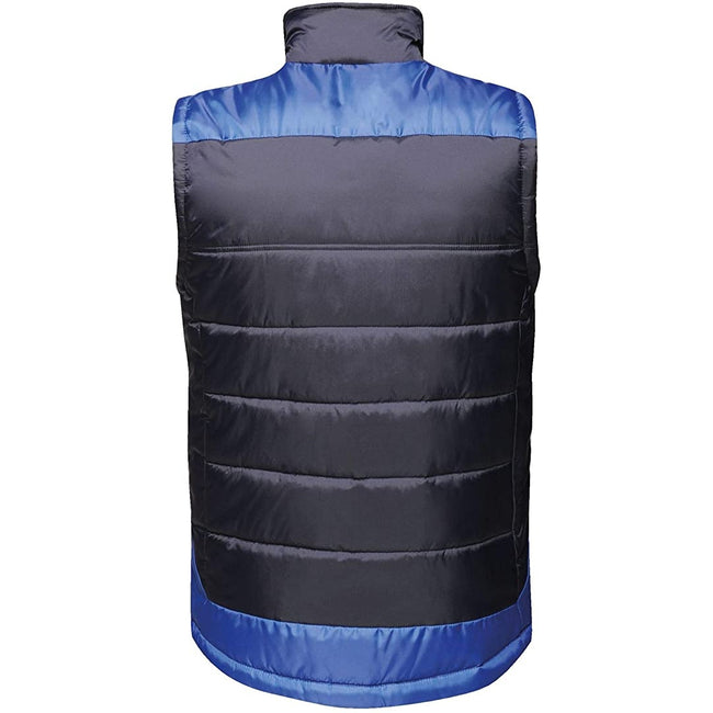 Navy-New Royal Blue - Back - Regatta Mens Uproar Softshell Jacket