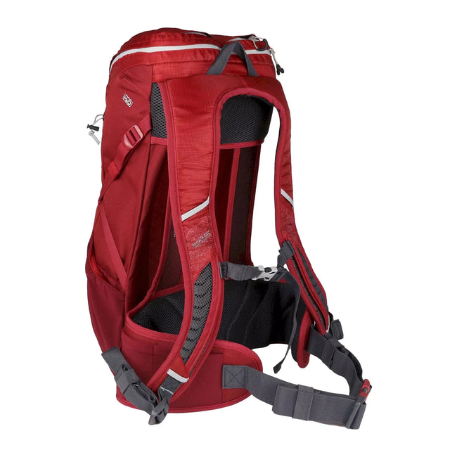 Delhi Red-Light Steel - Back - Regatta Blackfell III 9gal Rucksack