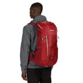 Delhi Red-Light Steel - Side - Regatta Blackfell III 9gal Rucksack