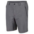 Ash - Front - Regatta Mens Leesville II Walking Shorts